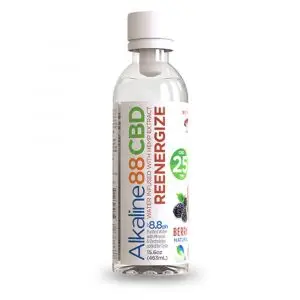 Alkaline88 CBD Water 12-Pack