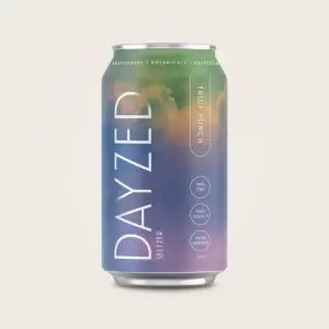 Dayzed Botanical & Adaptogen Infused Fruit Punch‬‭-24 pack