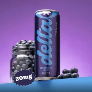 Delta-9 Blueberry Acai Seltzer 24-Pack