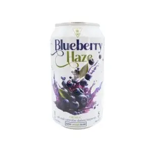 Earthy Blueberry Haze 24-Pack